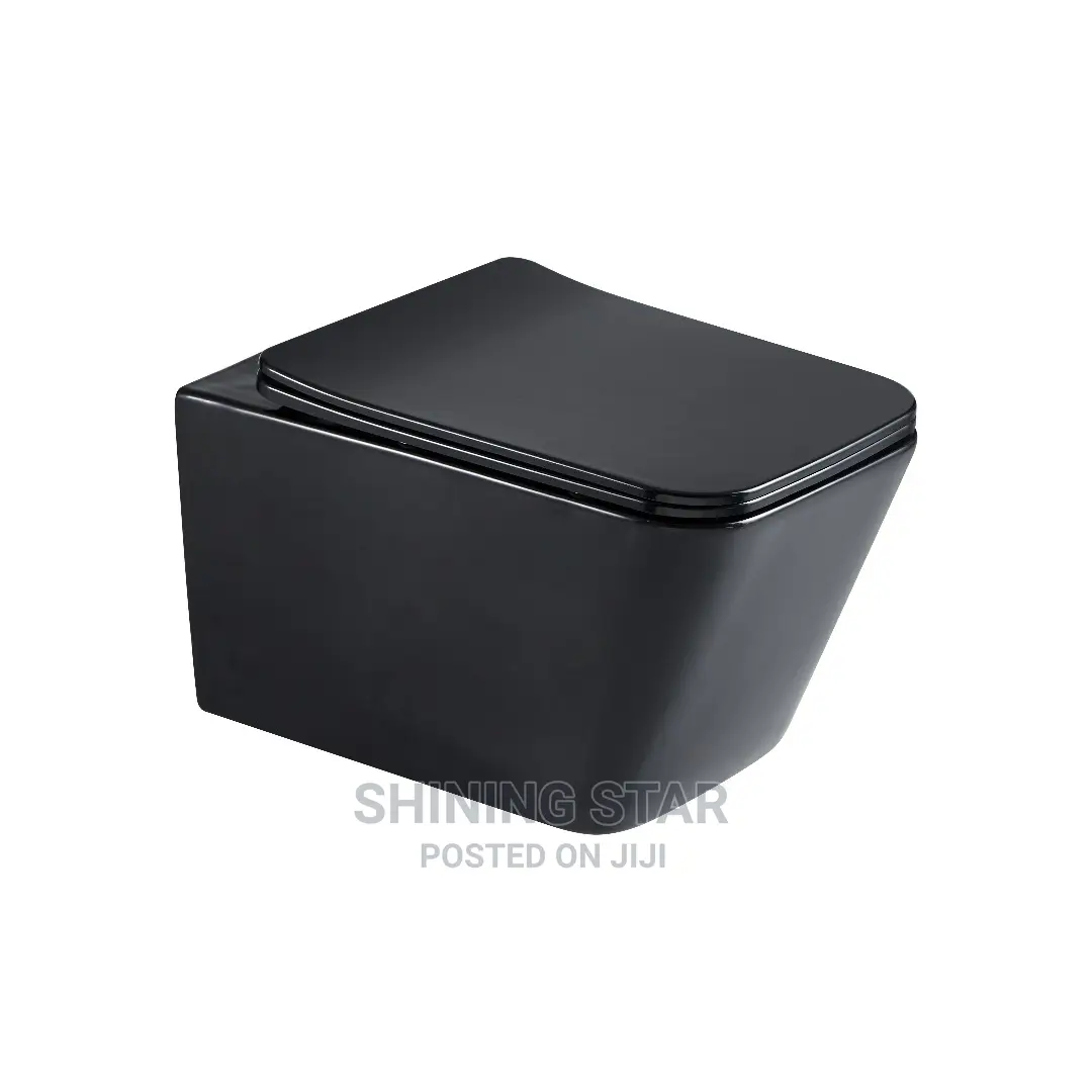 Black Conceal Toilet Set With Tank