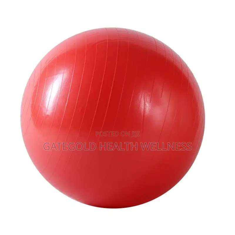 Gym Ball Swb55 Swiss Balls 55cm, [ Red Blue ]