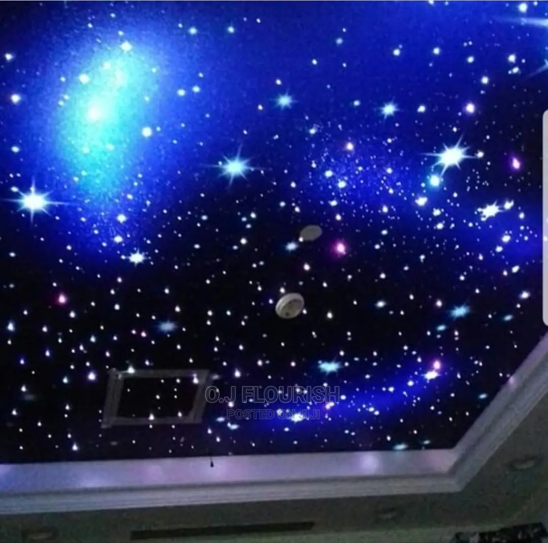 Super Adorable 3D Stretch Ceiling