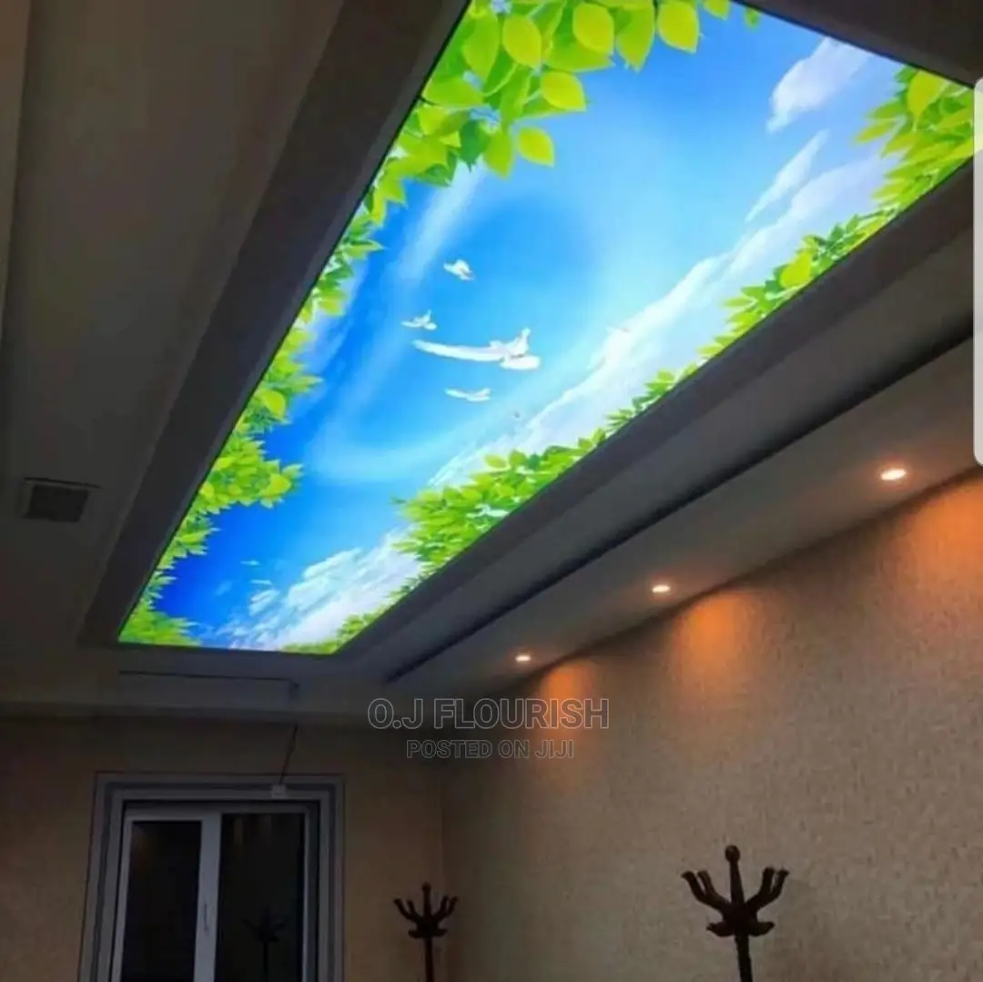 Quality 3D Stretch Ceiling Just for You, Yes You