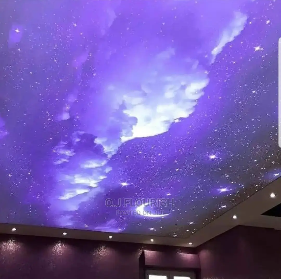 Quality 3D Stretch Ceiling Just for You, Yes You