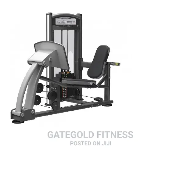 IT9310 Leg Press