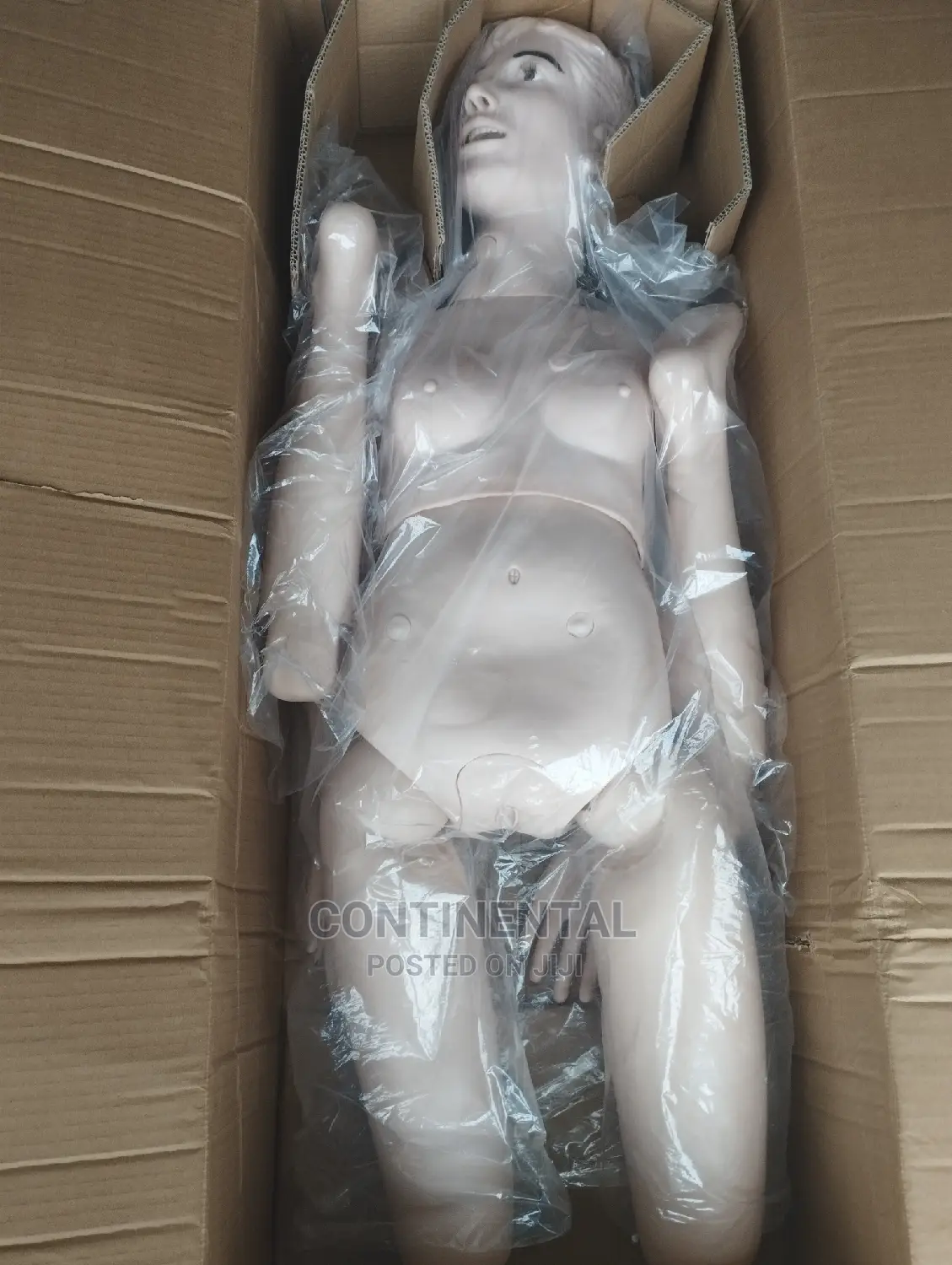 Male and Female Manikin