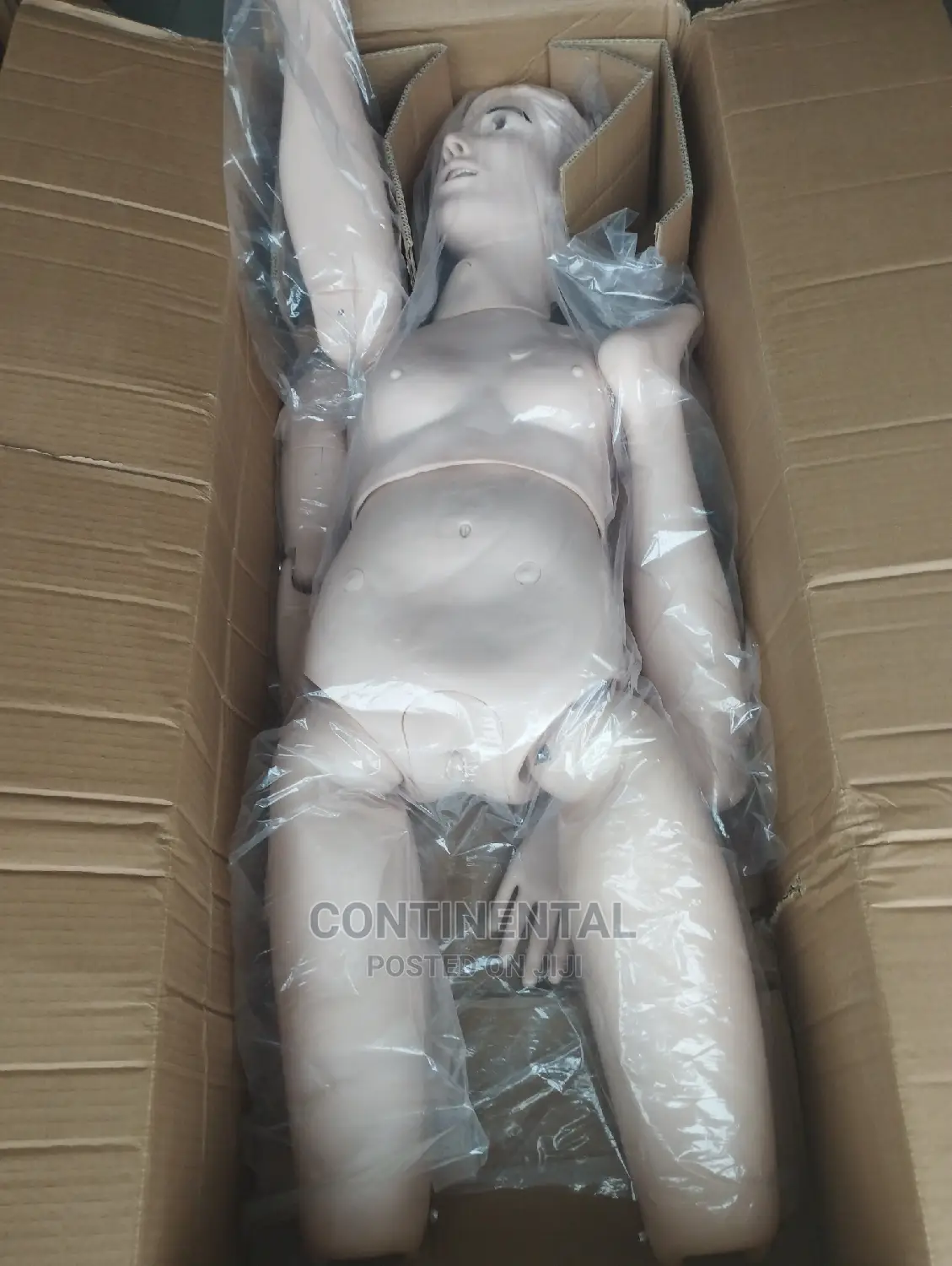 Male and Female Manikin