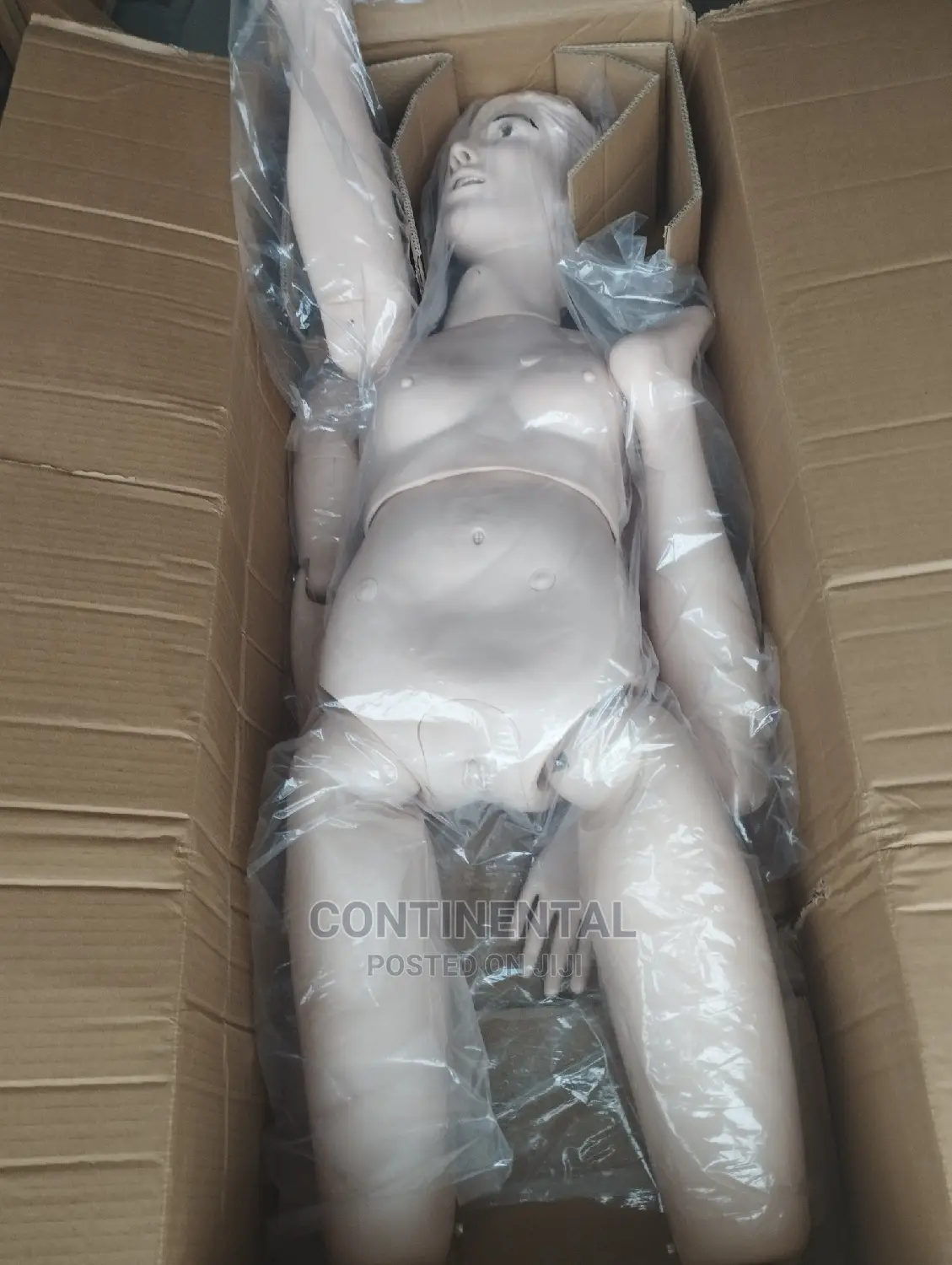 Male and Female Manikin