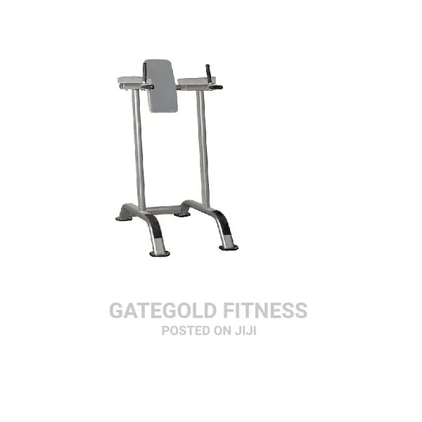 IT7010E Vertical Kneel Raise