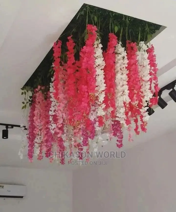 Adorable WISTERIA Flowers 