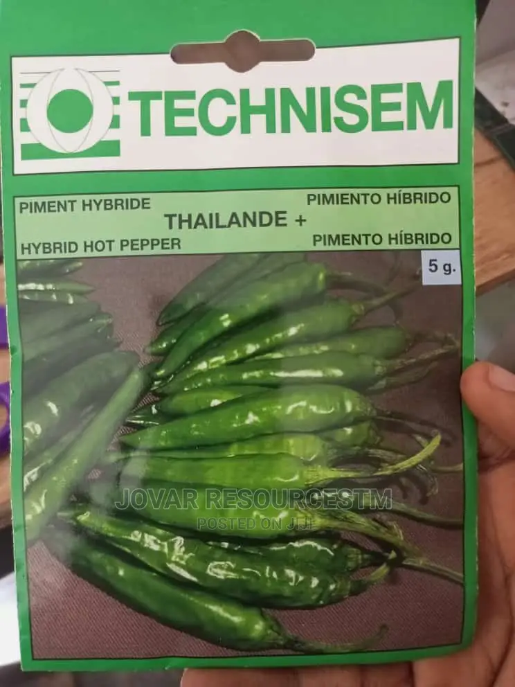 Best Bell Ball Sweet Pepper Seeds