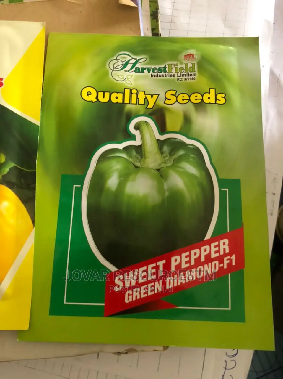 Best Bell Ball Sweet Pepper Seeds