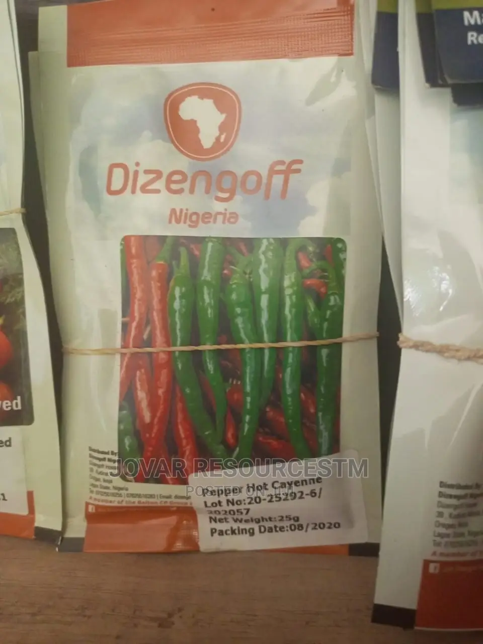 Best Bell Ball Sweet Pepper Seeds