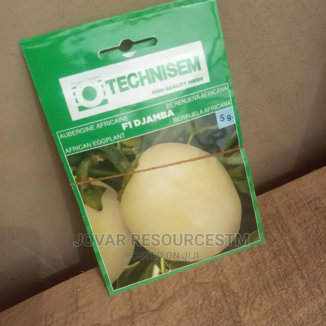 Best Garden Egg / Eggplant Seeds