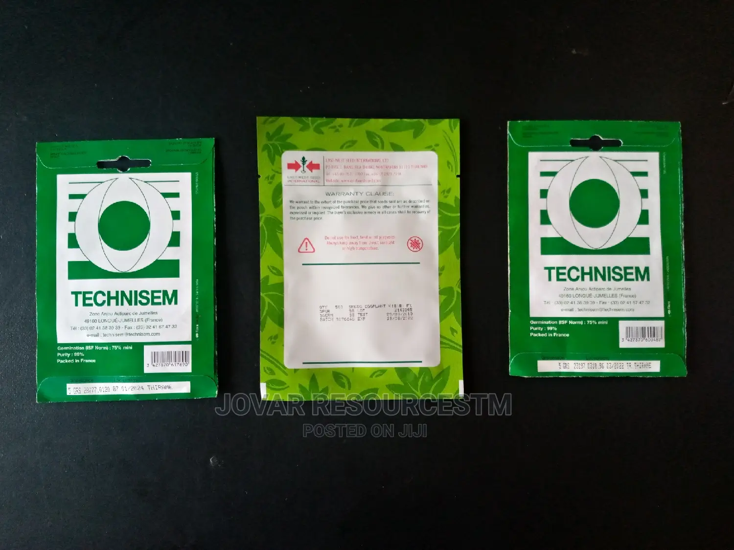 Best Garden Egg / Eggplant Seeds