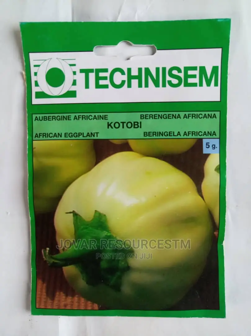 Best Garden Egg / Eggplant Seeds