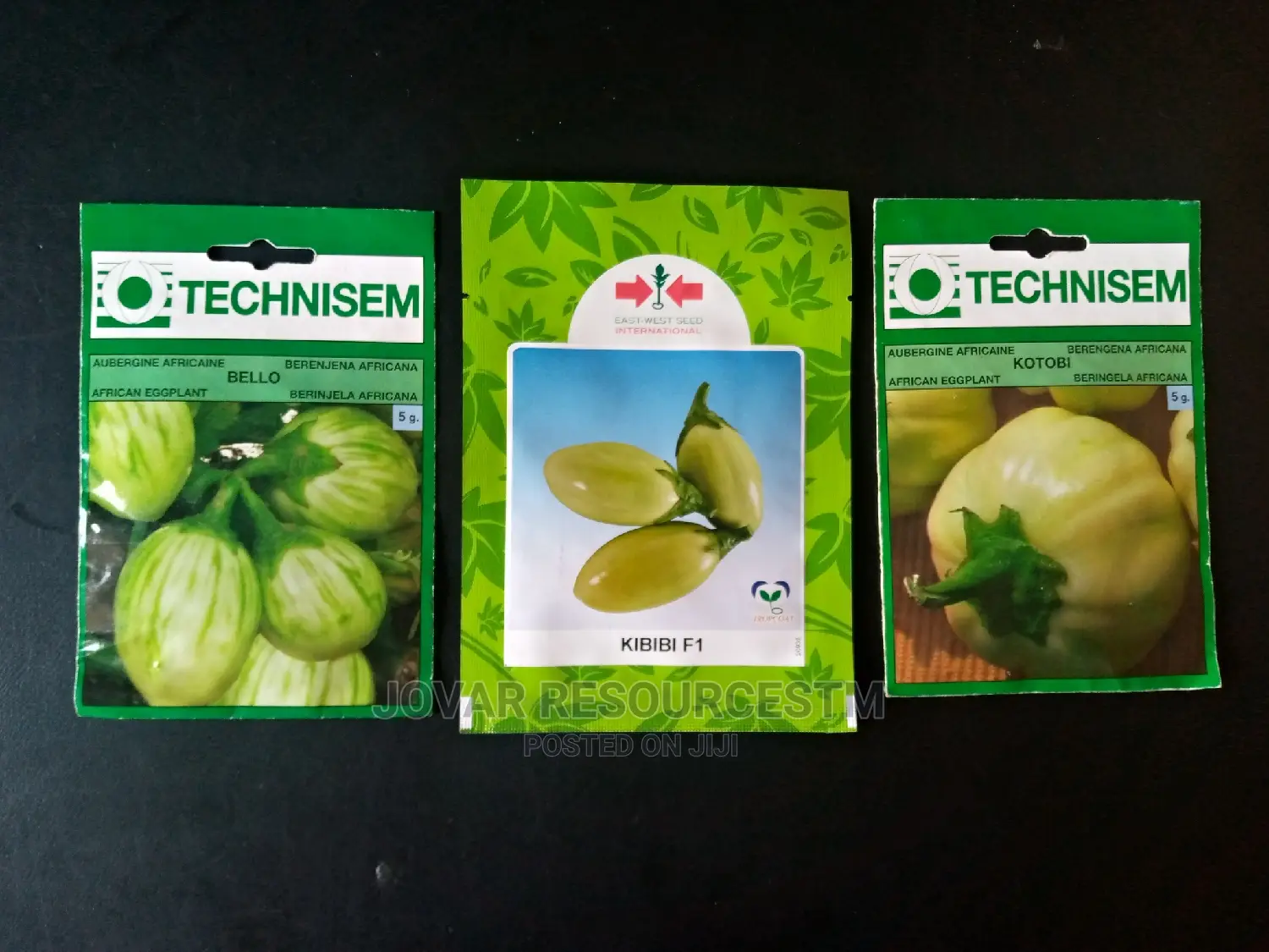 Best Garden Egg / Eggplant Seeds