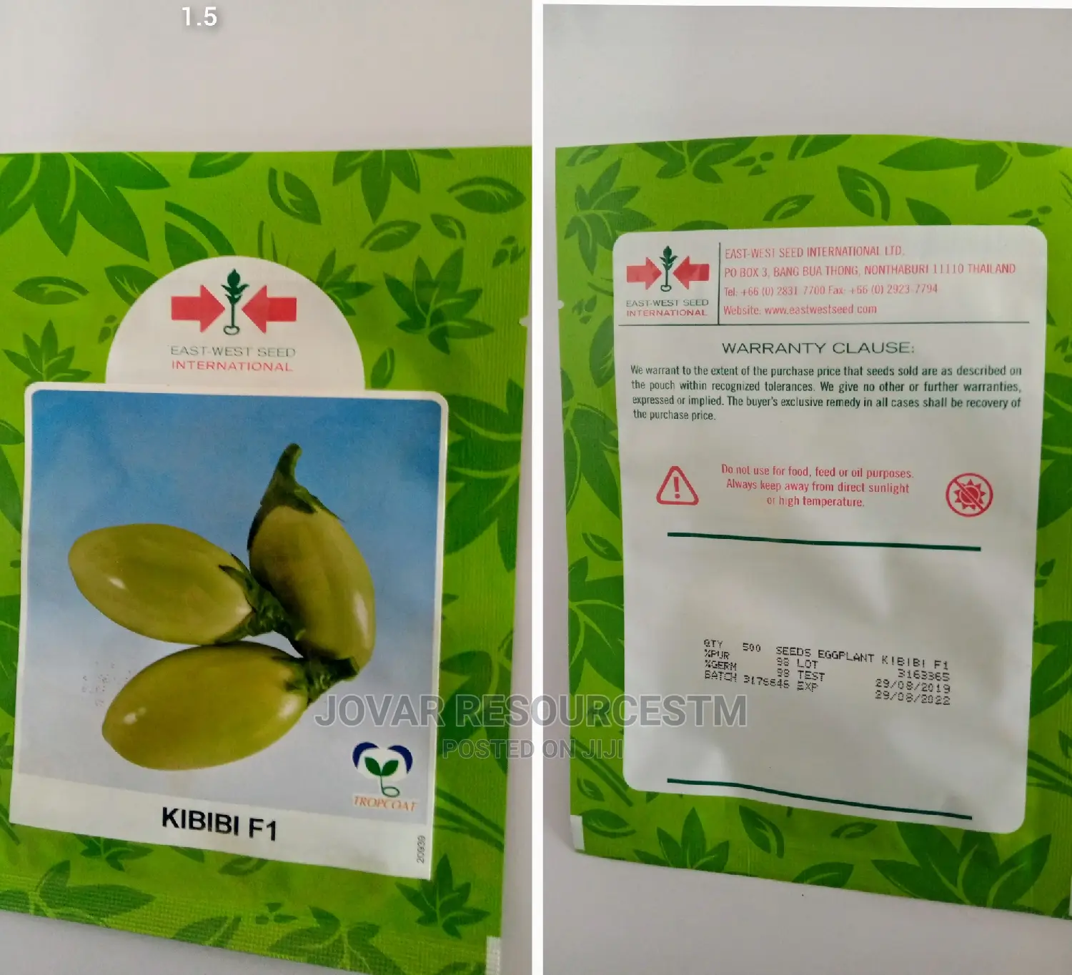 Best Garden Egg / Eggplant Seeds