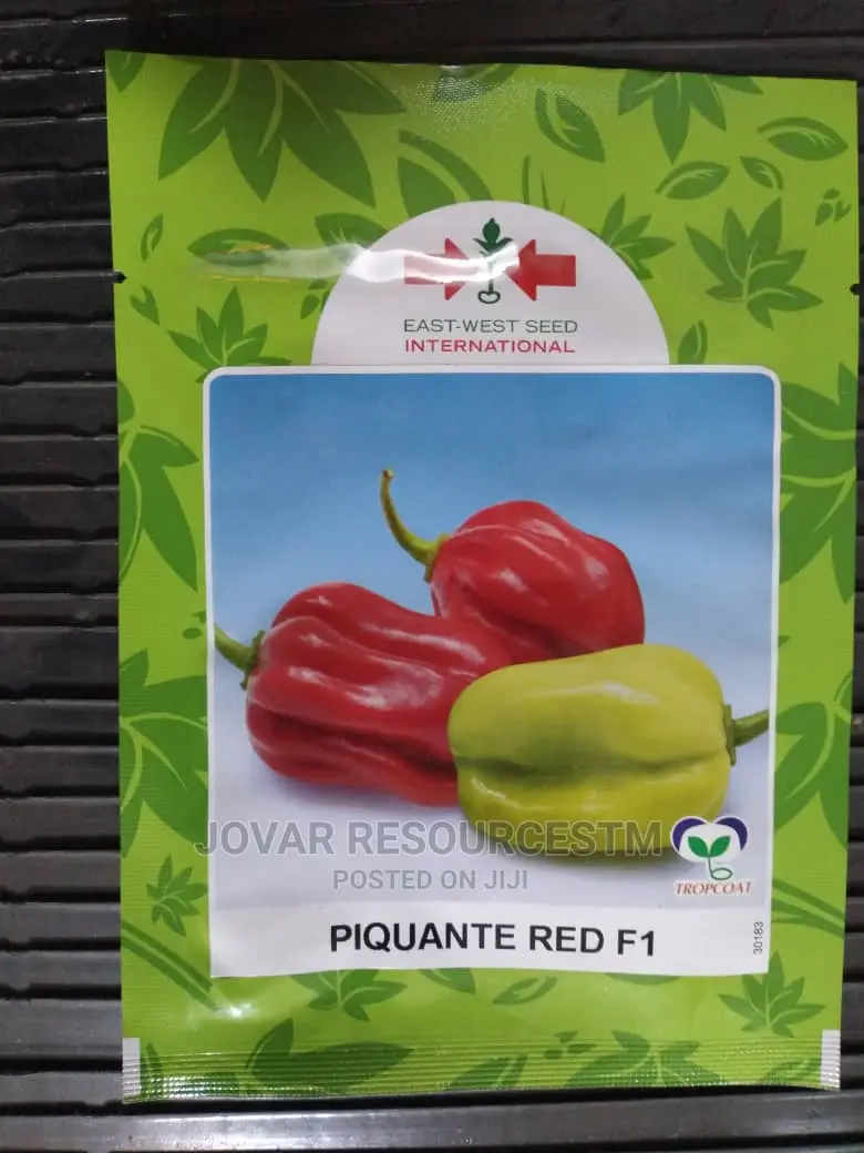 Best Hot Pepper Scotch Bonnet Ata Rodo Habanero Seed Seedlng