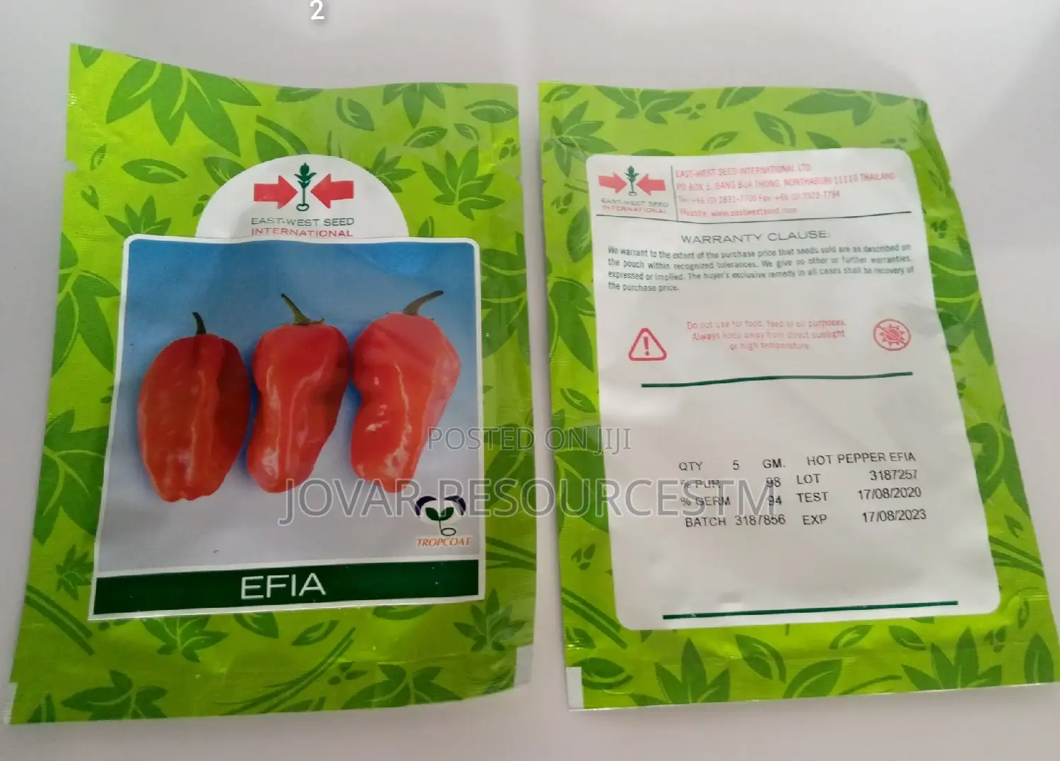 Best Hot Pepper Scotch Bonnet Ata Rodo Habanero Seed Seedlng