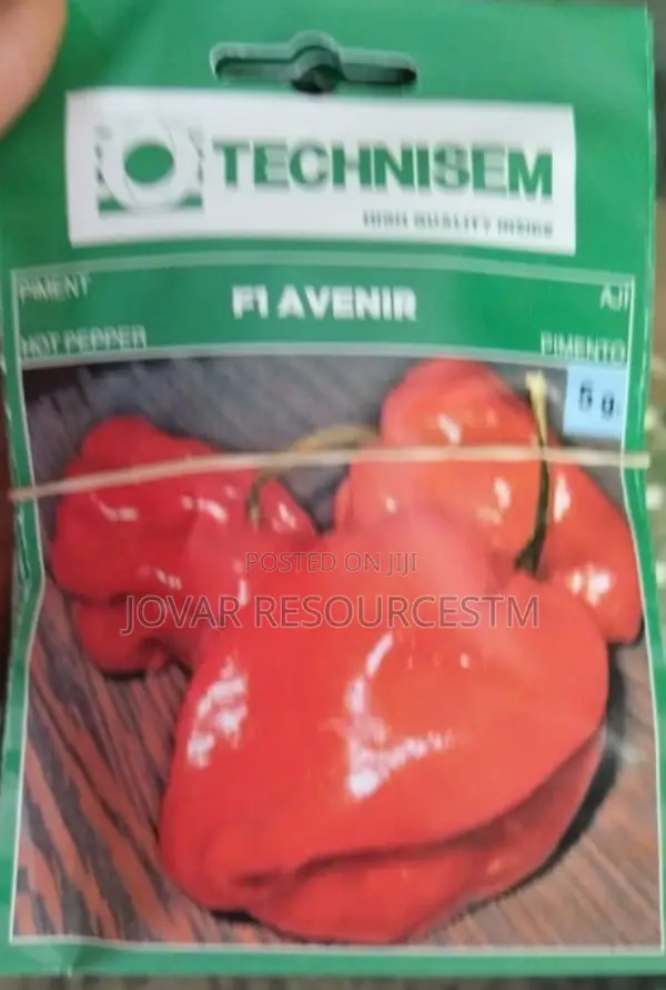 Best Hot Pepper Scotch Bonnet Ata Rodo Habanero Seed Seedlng