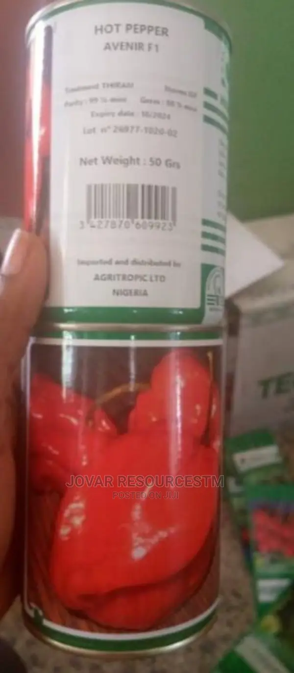 Best Hot Pepper Scotch Bonnet Ata Rodo Habanero Seed Seedlng