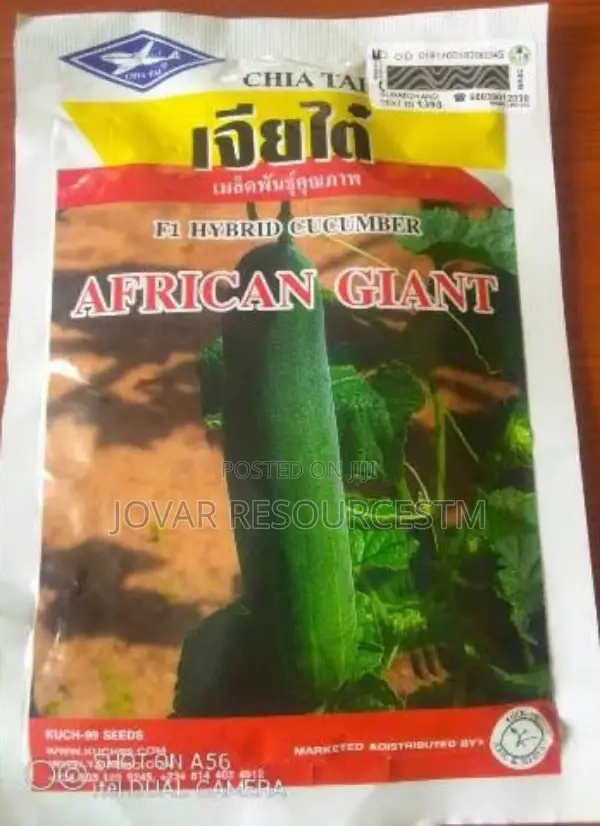 Best Improved Cucumber Seeds