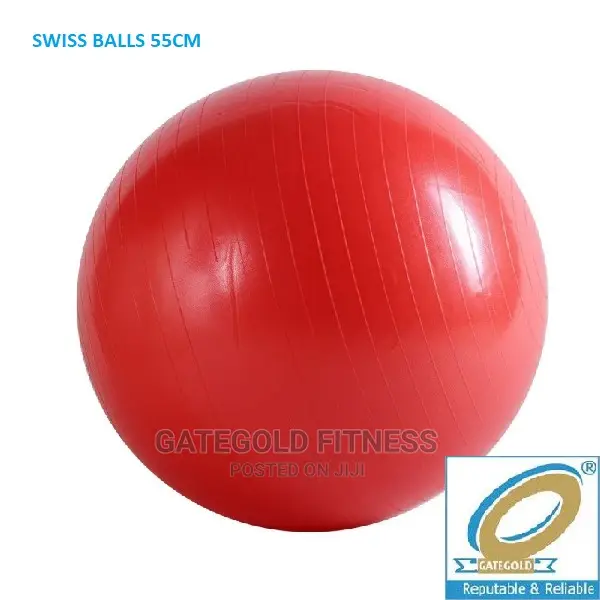 Swb55 Swiss Balls 55cm