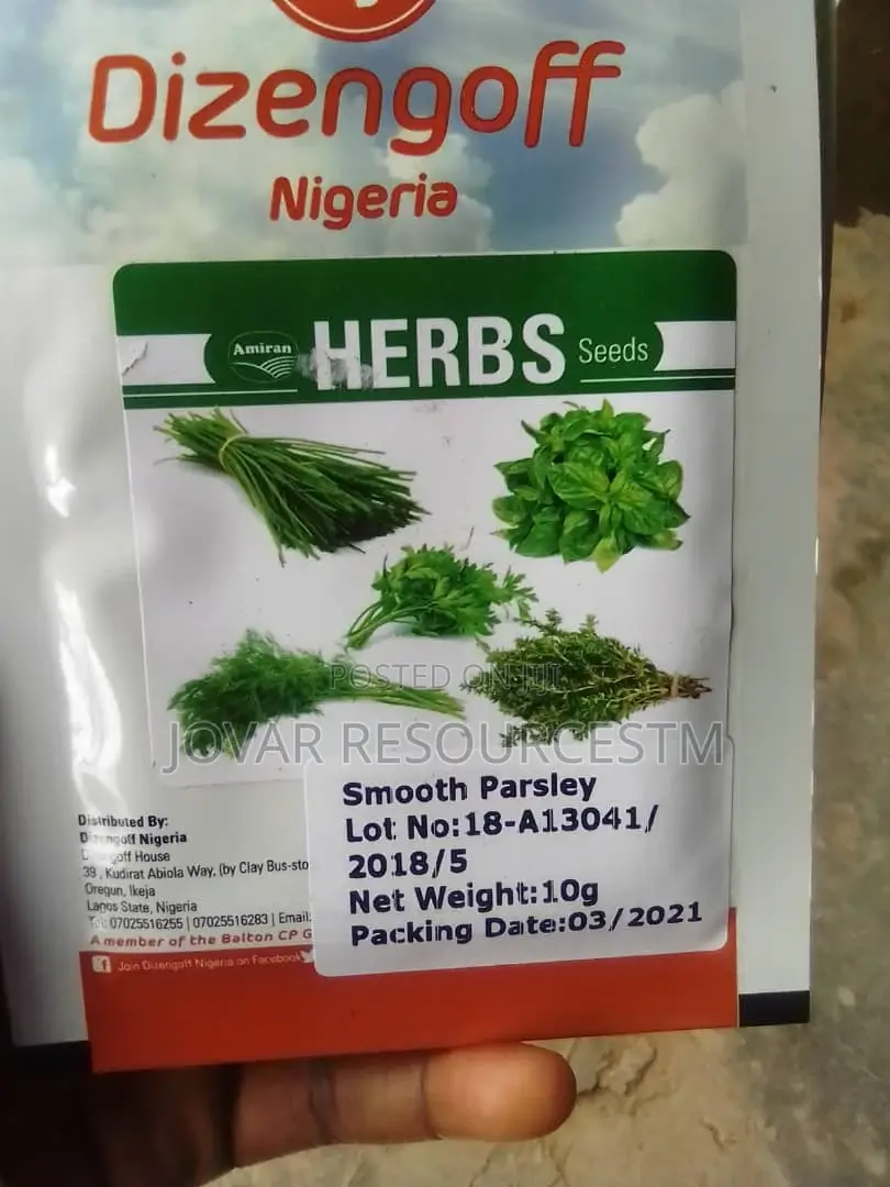 Best Herbs Seeds