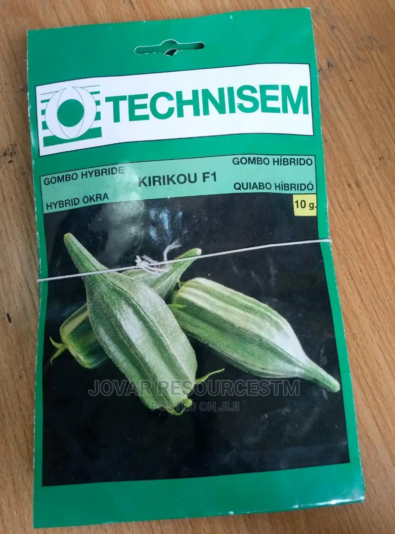 Best Okra / Okra Seeds