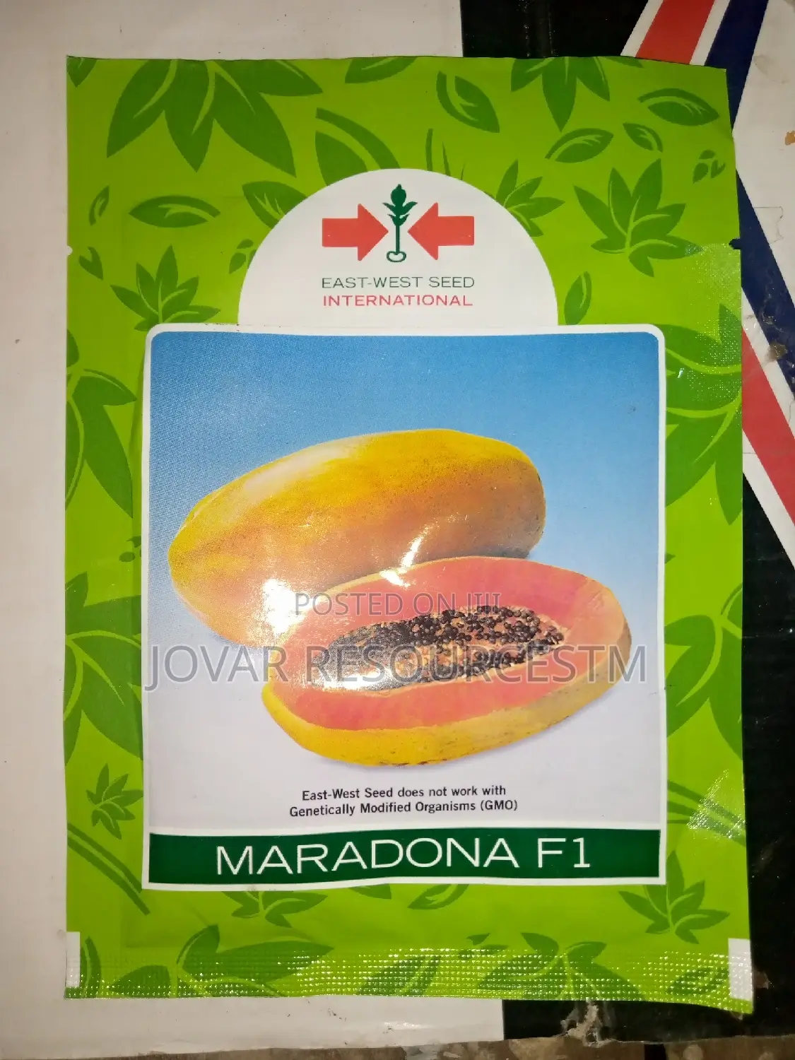 Best Sweet Short Tree/ Semi Dwarf Pawpaw Seeds