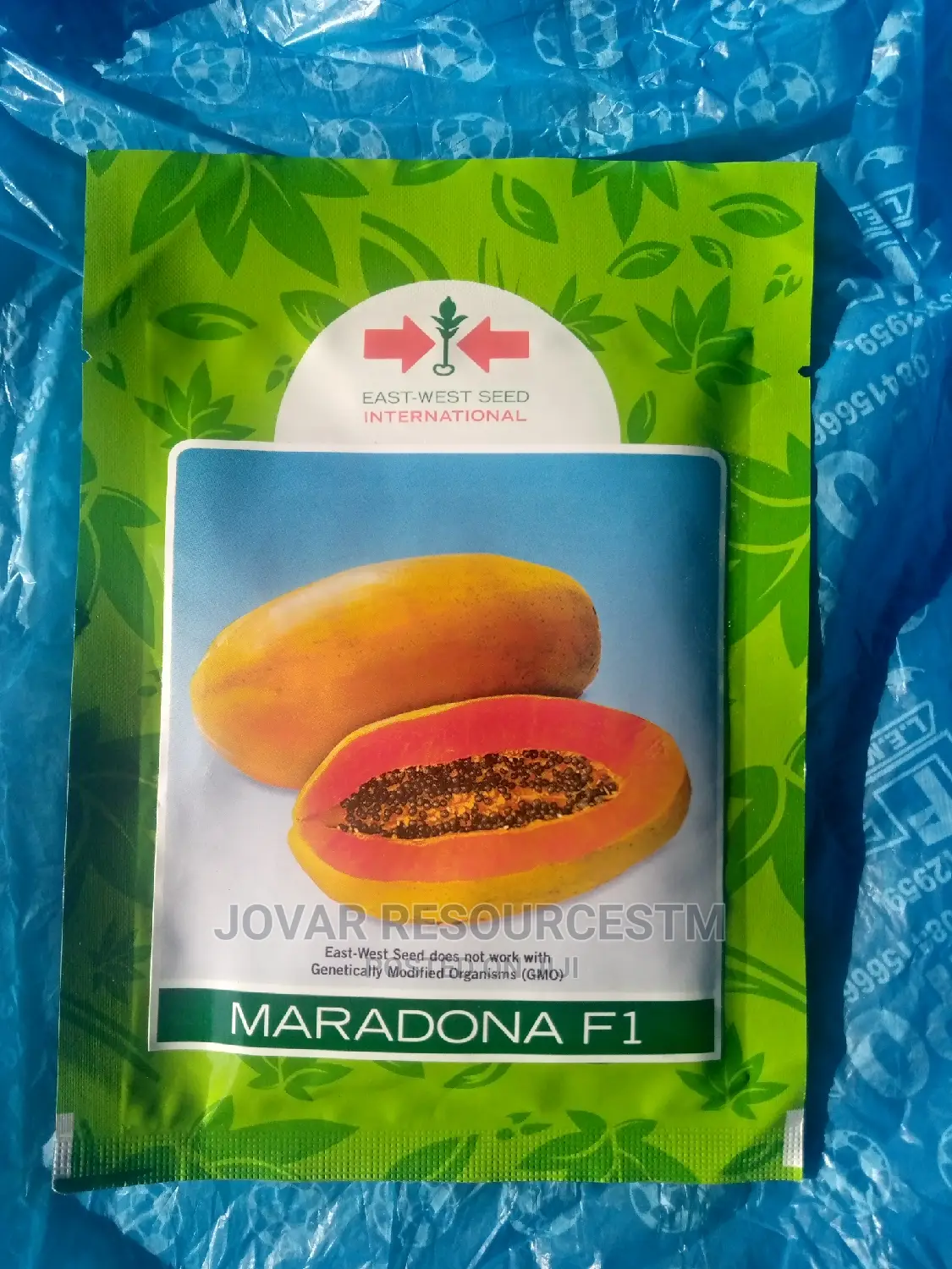Best Sweet Short Tree/ Semi Dwarf Pawpaw Seeds