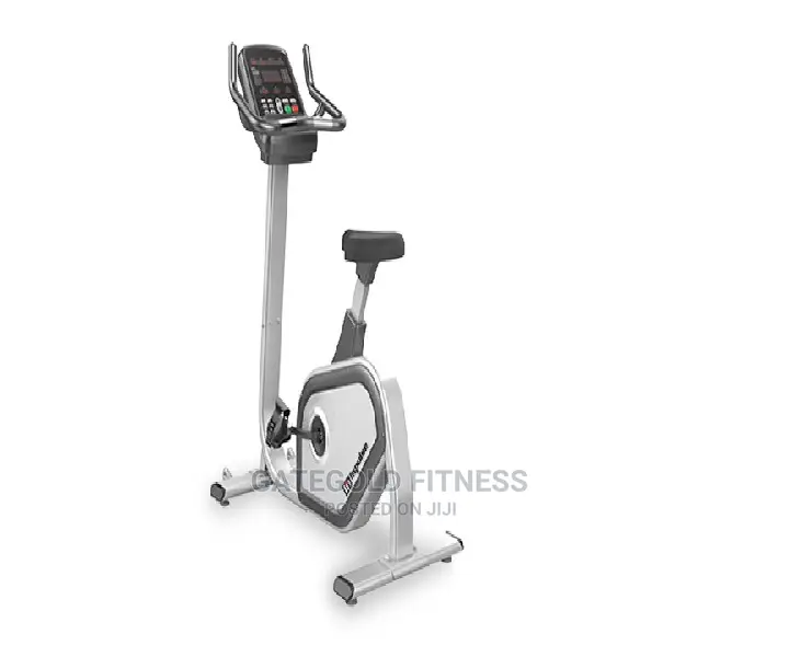 Commercial Upright Bike PU300