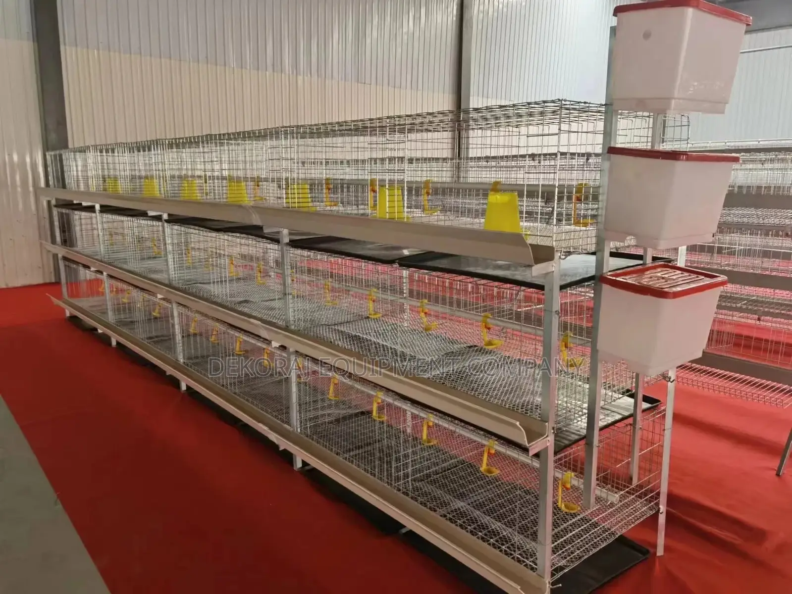 Affordable 120 Broiler Imported For Farmers