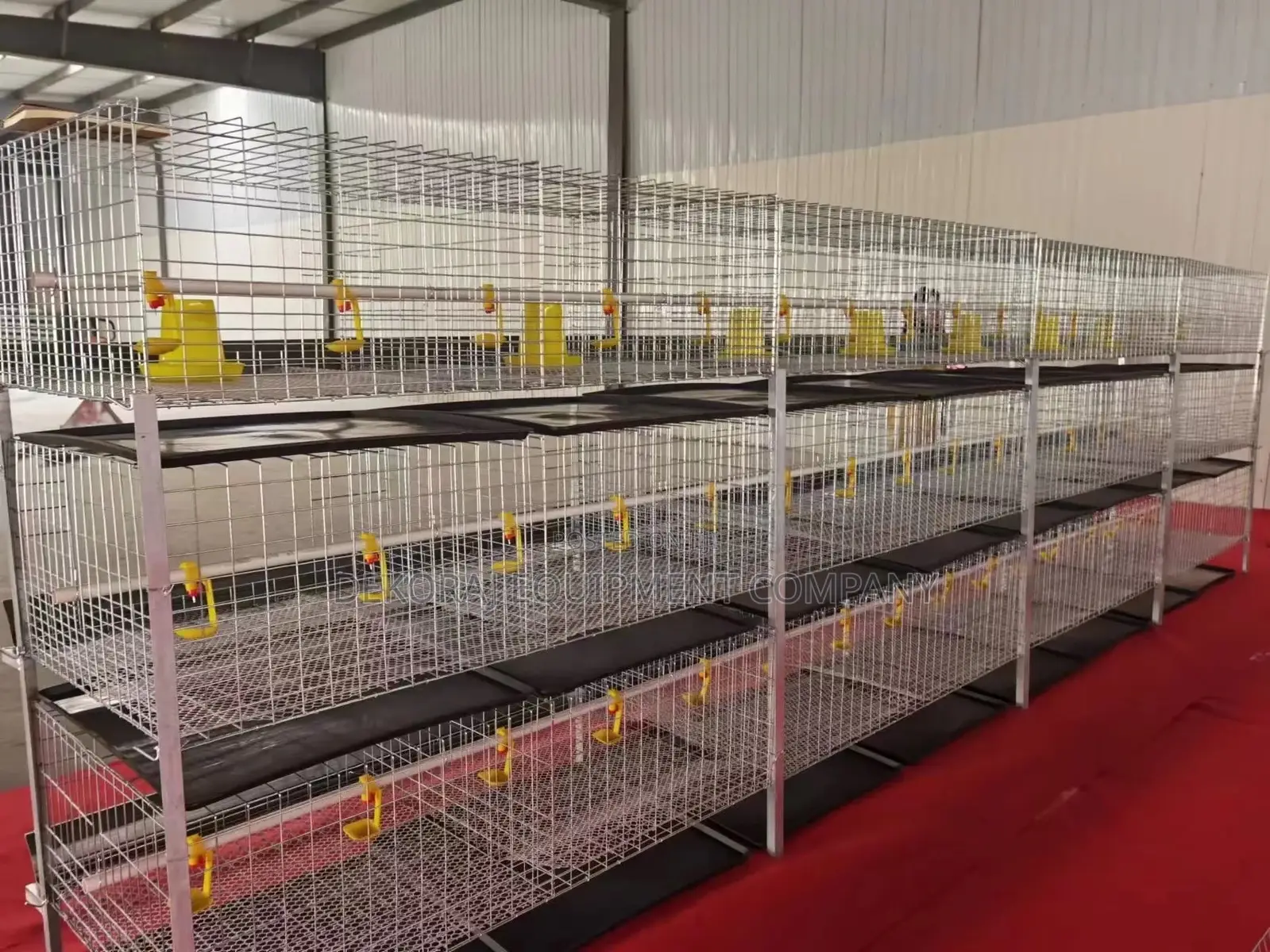 120 Broiler Battery Cage for Modern Farmers