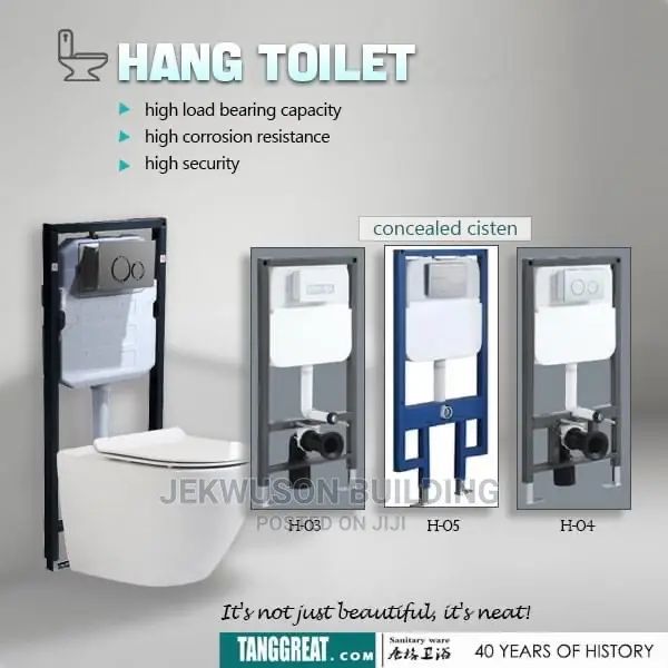 Wall Hung Concealed Wc