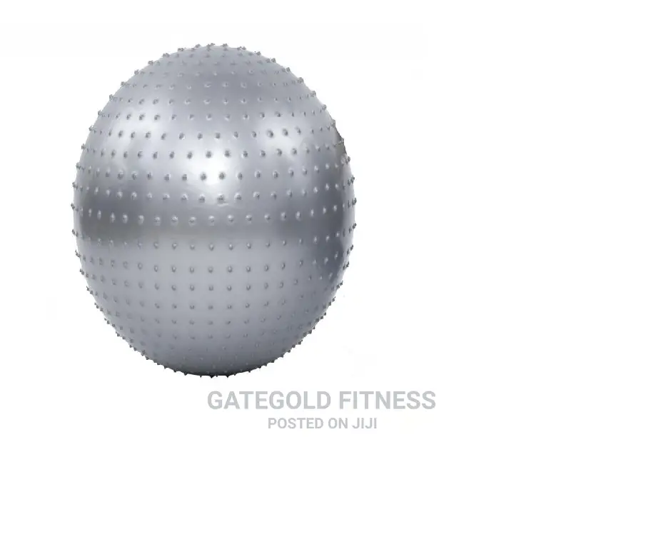 Swb75 Swiss Balls 75cm, [ Grey Pink ]
