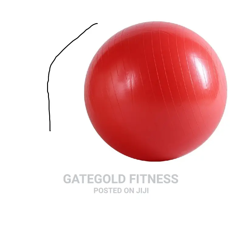 Swb55 Swiss Balls 55cm, [ Red Blue ]