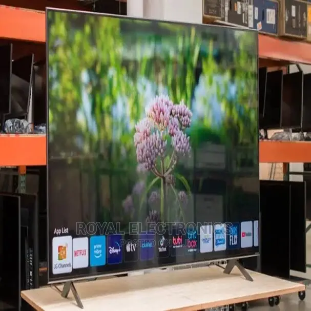Brand New LG 65 Inch Smart Television