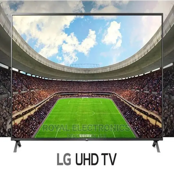 Standard New LG 65 Inch Smart Television