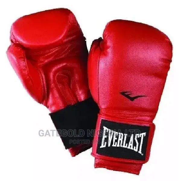 Ever-Last Boxing Gloves