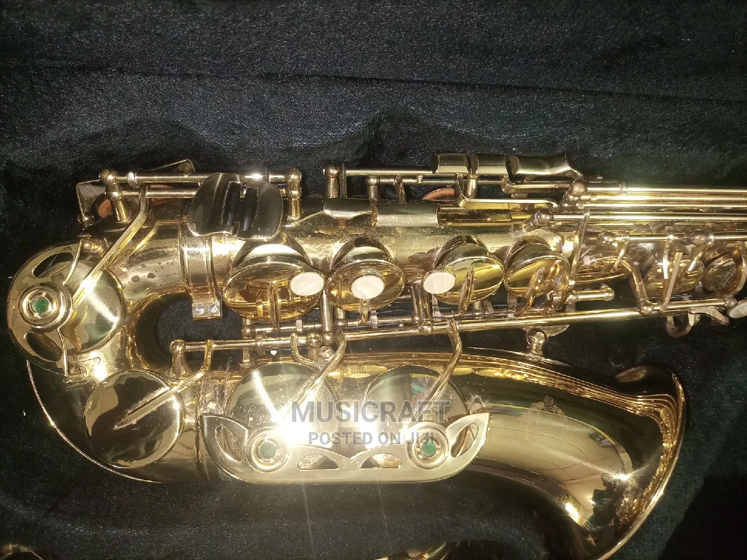 Suzuki Tokunbo Professional Alto Saxophone