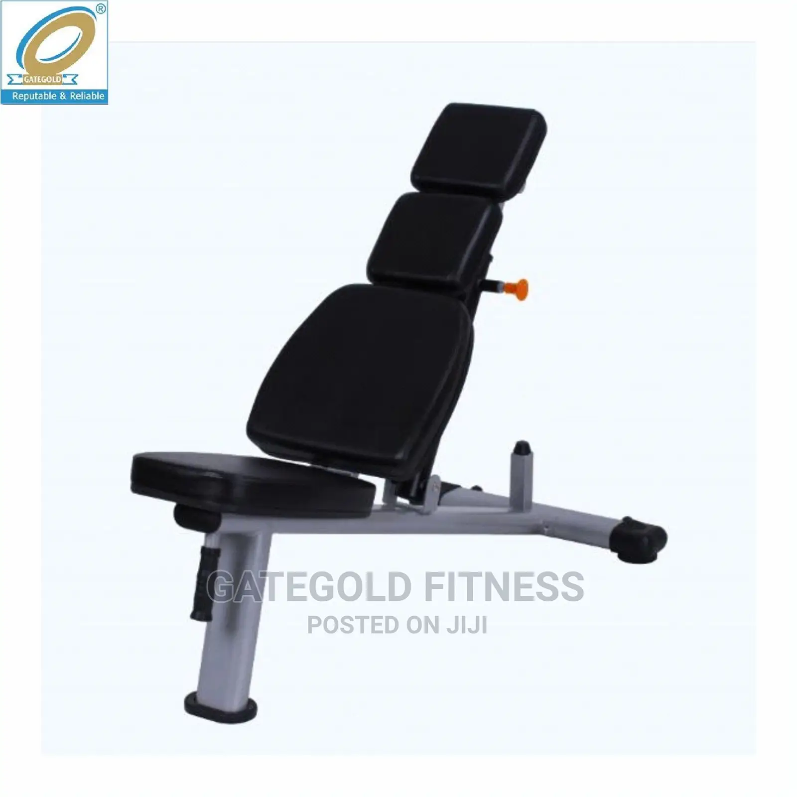 Wt-A57 Adjustable Dumbbell Bench (Premium)