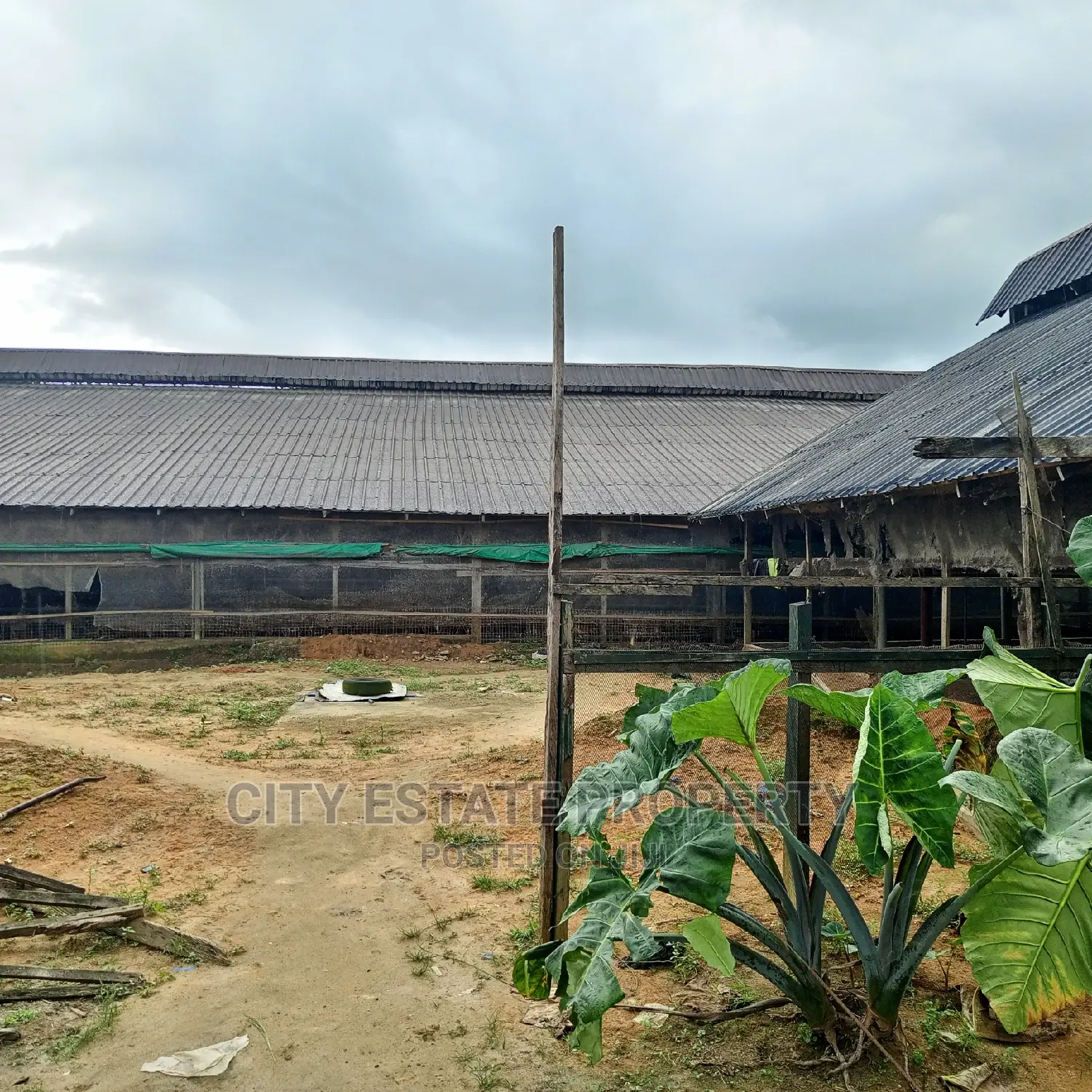 Poultry Farm on 9 Plots of Land for Sale in Portharcourt
