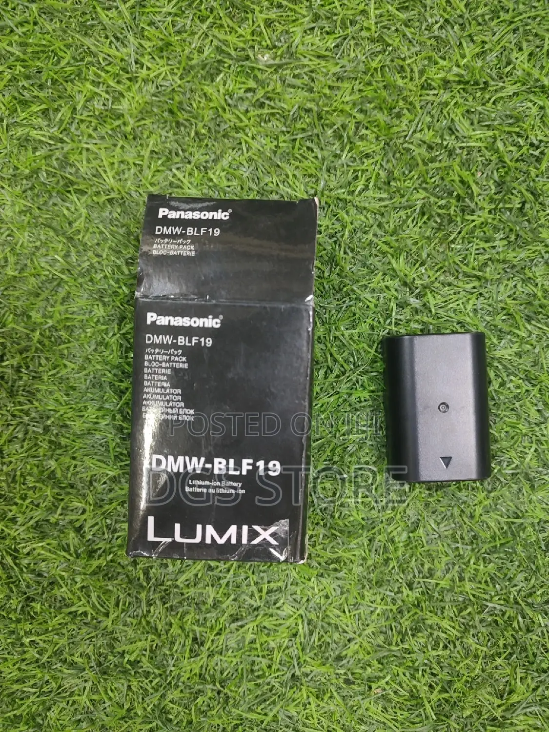 Panasonic DMW BLF19 Camera Battery