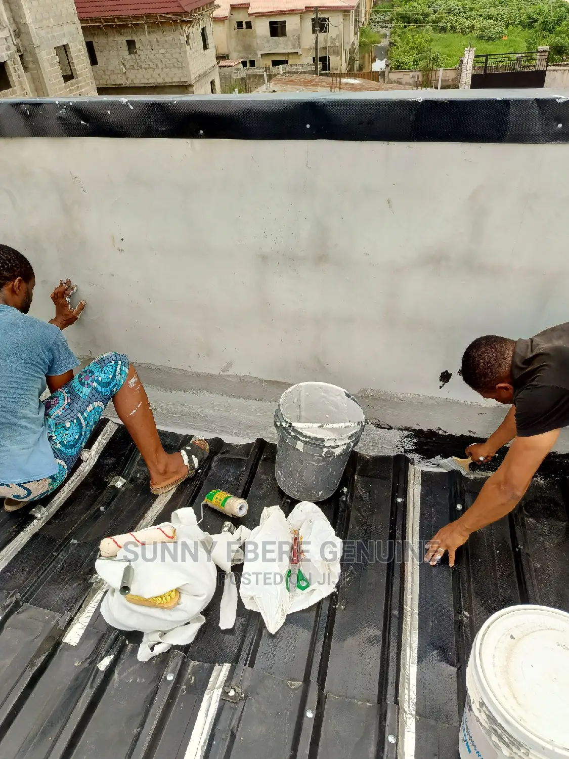 Roof Repair Expert