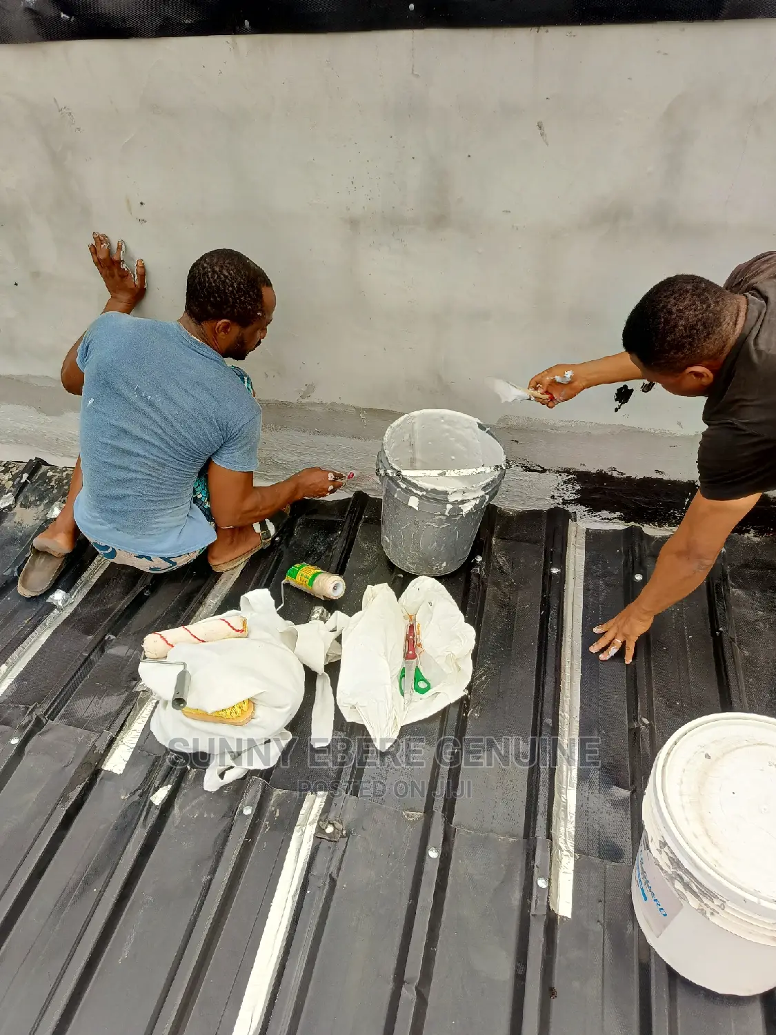 Roof Repair Expert