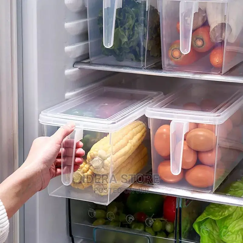 Fridge Storage Transparent With Sieve
