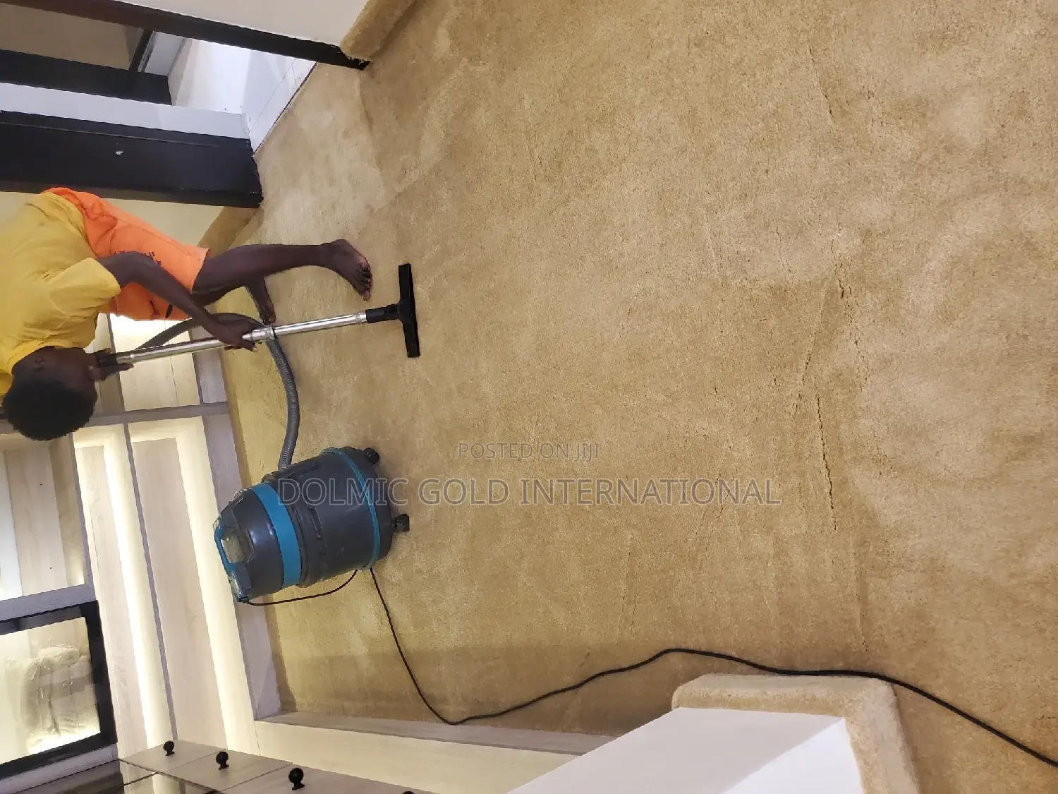 Carpet / Rug Cleaners