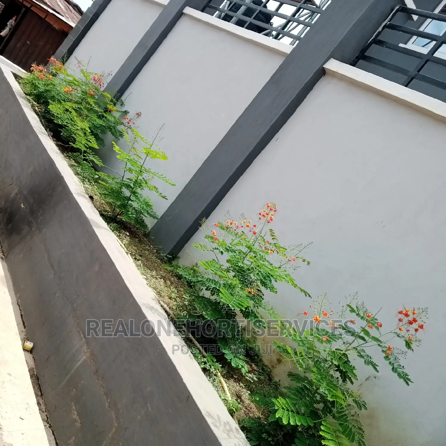 Horticultural Service's for Home, School, Office, Malls
