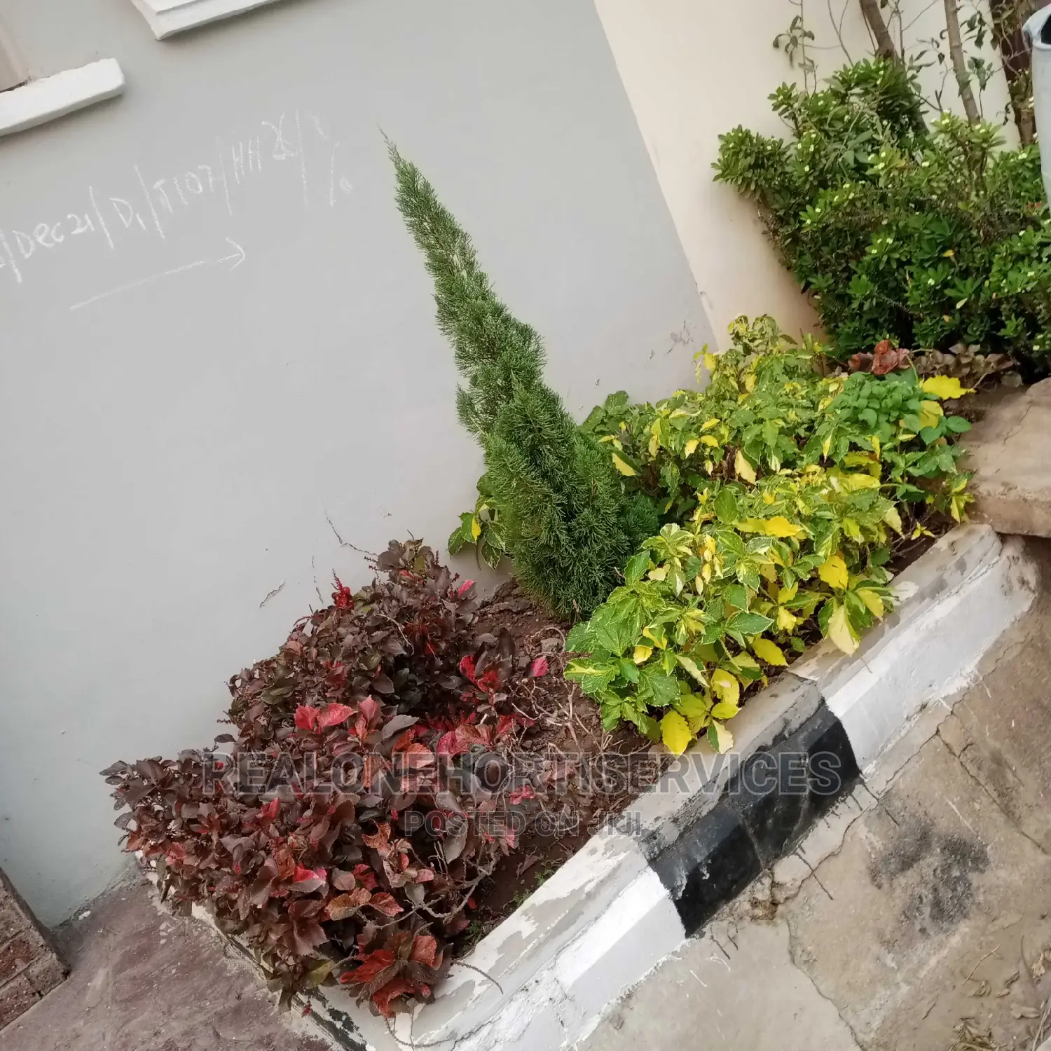 Horticultural Service's for Home, School, Office, Malls