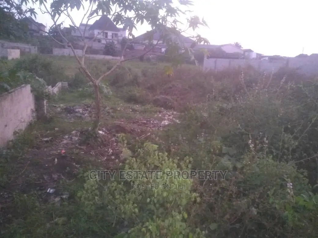 Half Plot of Land for Sale Around Peter Odili Ph
