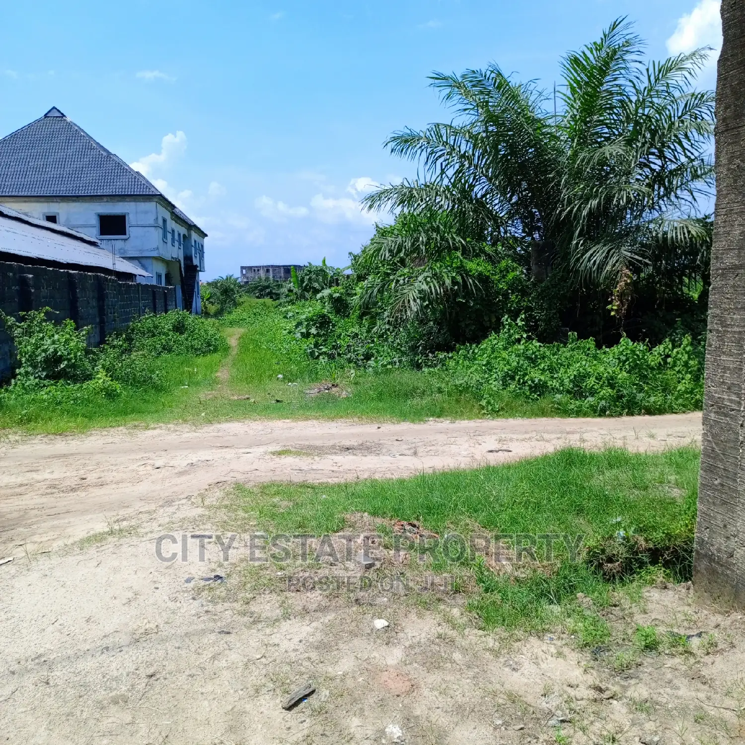 Half Plot of Land for Sale Around Peter Odili Ph